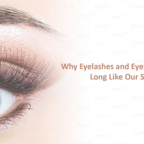 Why Eyelashes and Eyebrows Don’t Grow Long Like Scalp Hair?